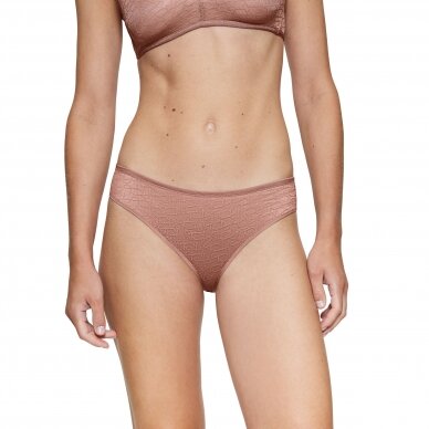 Kelnaitės Signature Sheer Tai EX 6901 2 Kelnaitės Signature Sheer Tai EX 6901 2