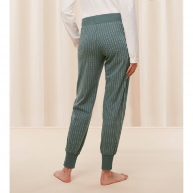 Pižamos kelnės Mix & Match Trousers Jersey 02 X M010 2